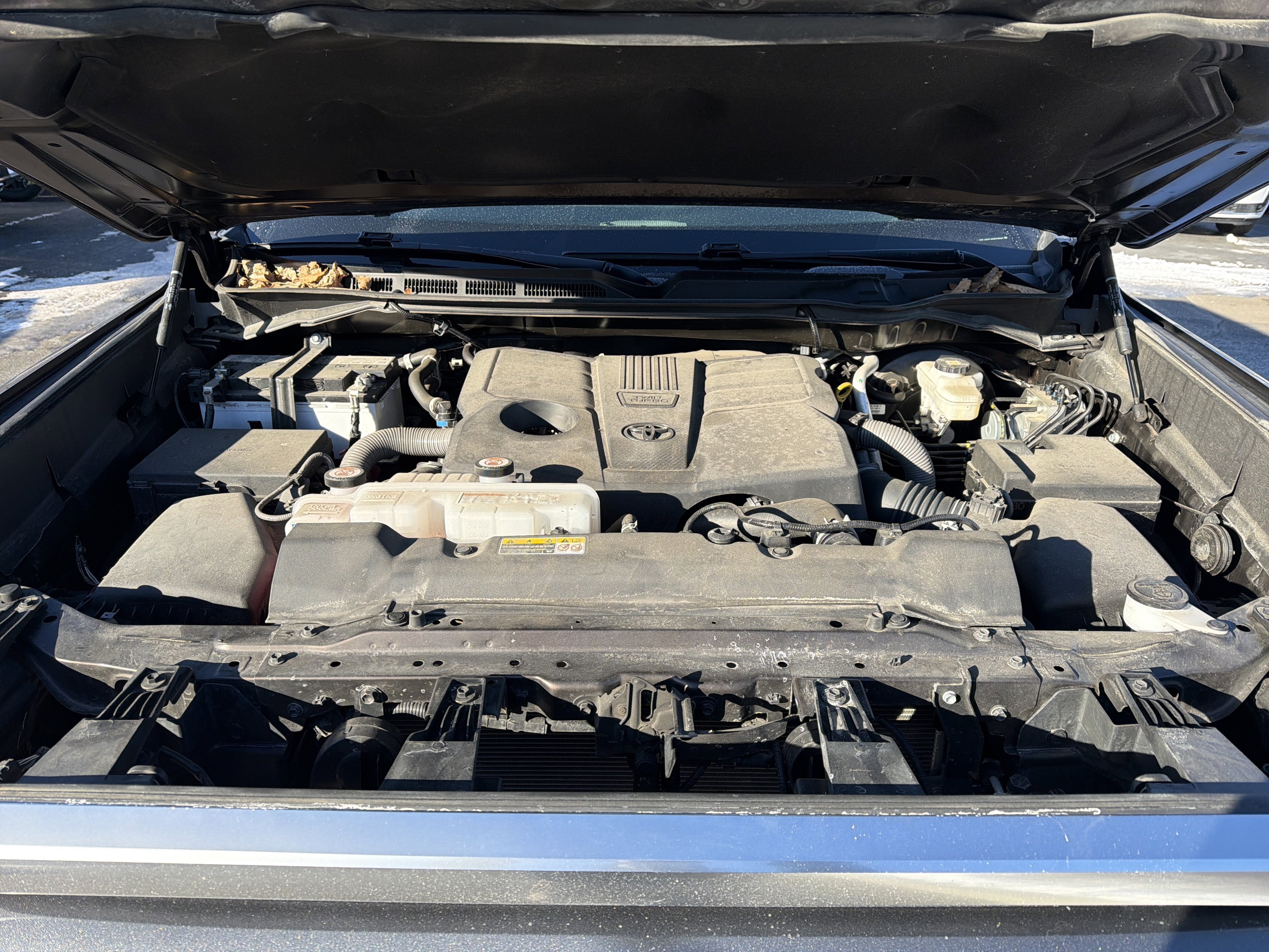 2023 Toyota Tundra Limited