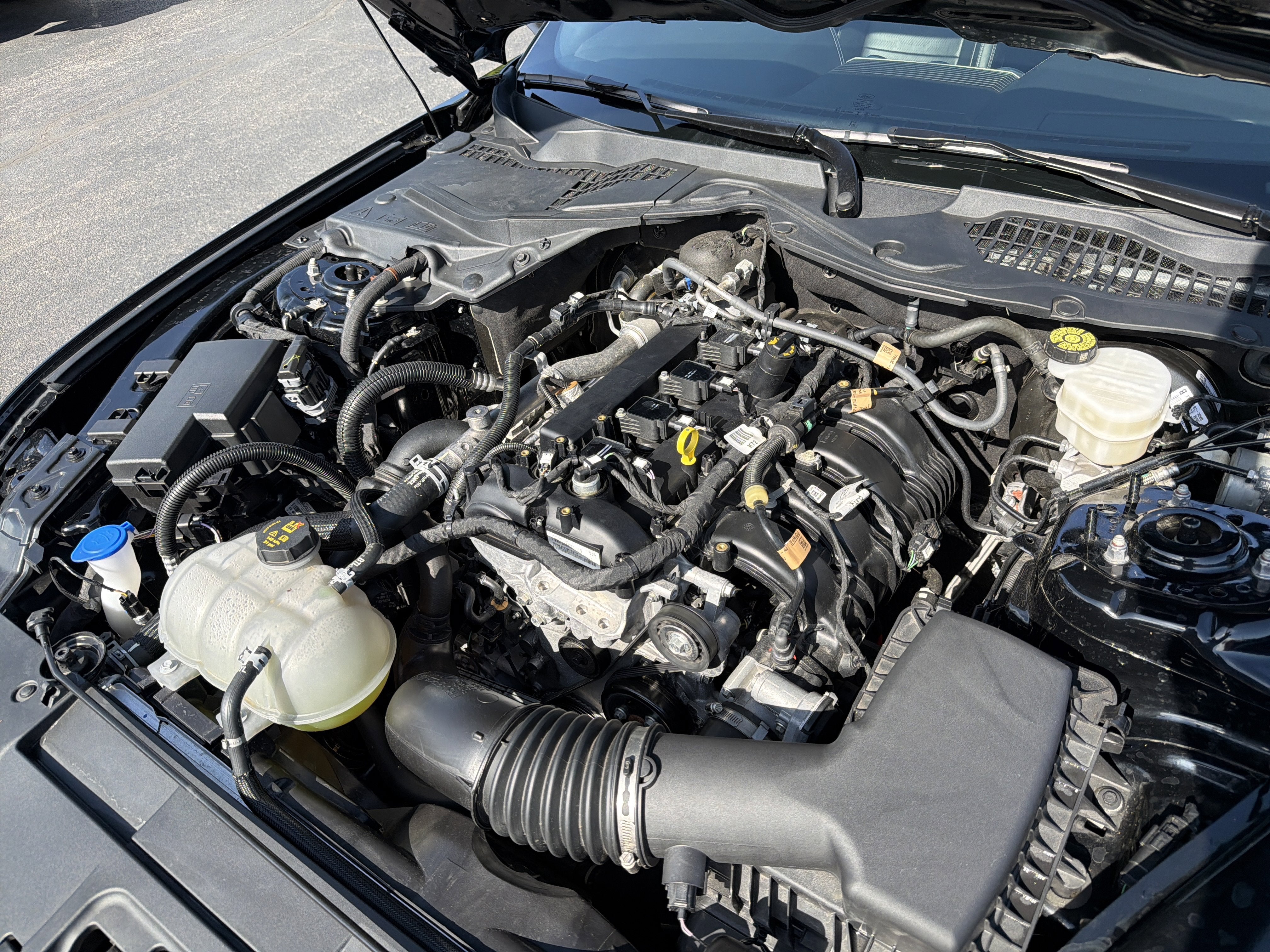 2023 Ford Mustang EcoBoost Premium Fastback