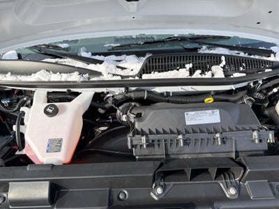 2025 Chevrolet Express Passenger 1LS