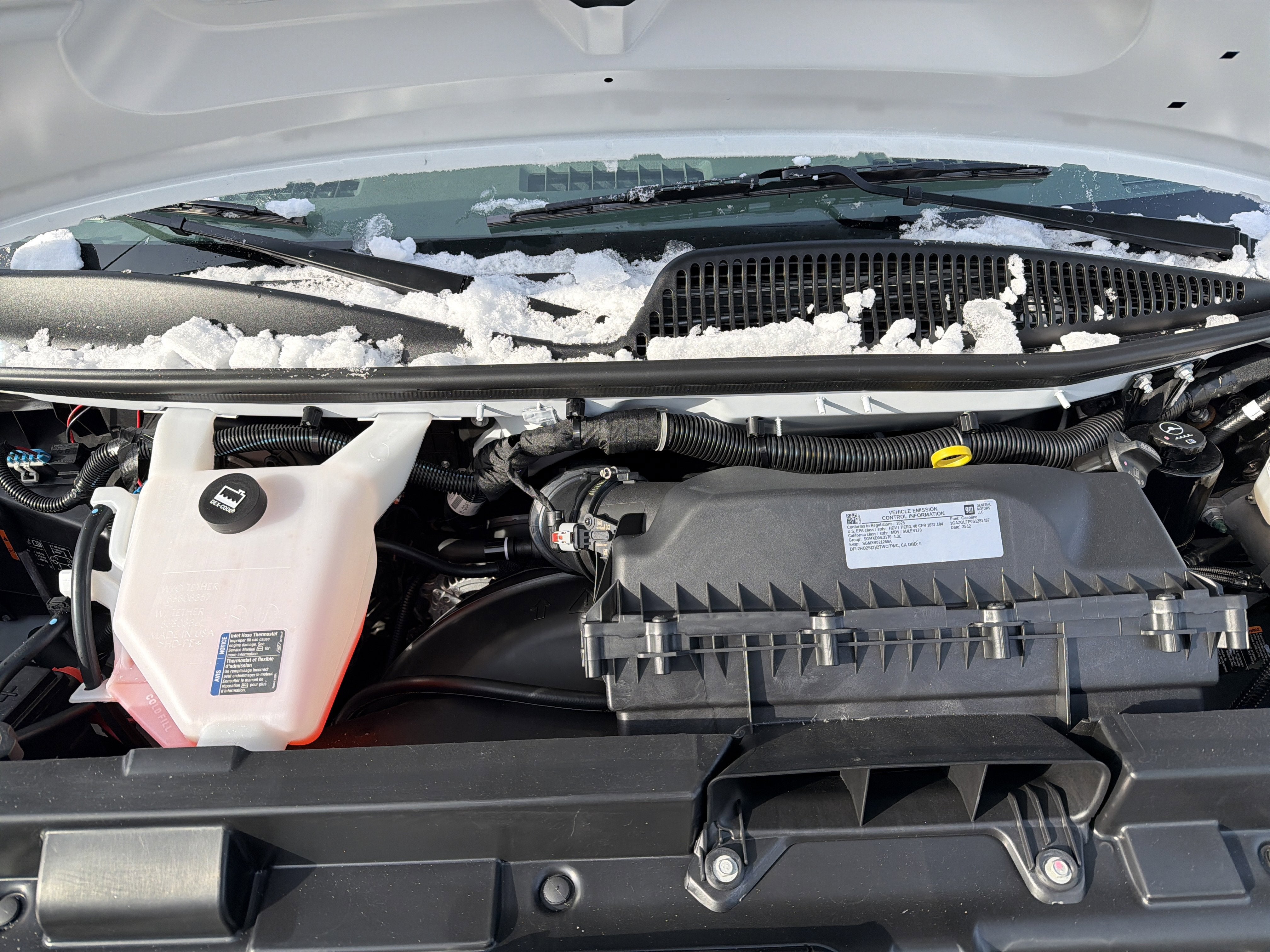 2025 Chevrolet Express Passenger 1LS